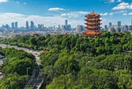 日韩AV无码综合一区-日韩AV无码综合一区，文化、艺术与市场视角的深度剖析