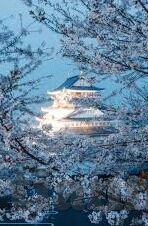 夜色av麻豆-影像夜景下的斑斓世界——夜色中的麻豆，一场可观可感的艺术之旅