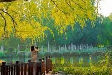 中文字幕导航-探索中文字幕导航，提升用户体验的桥梁